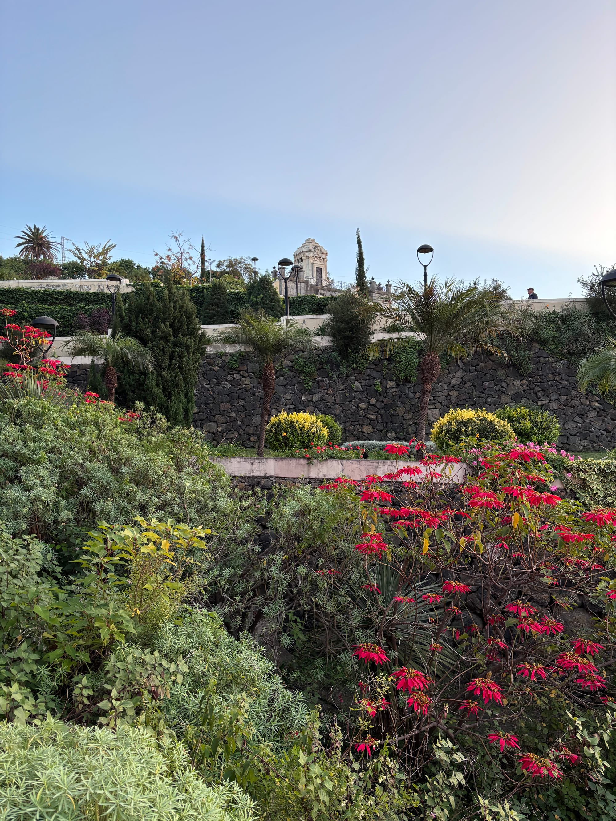 Teidės nacionalinis parkas + La Orotava miestas