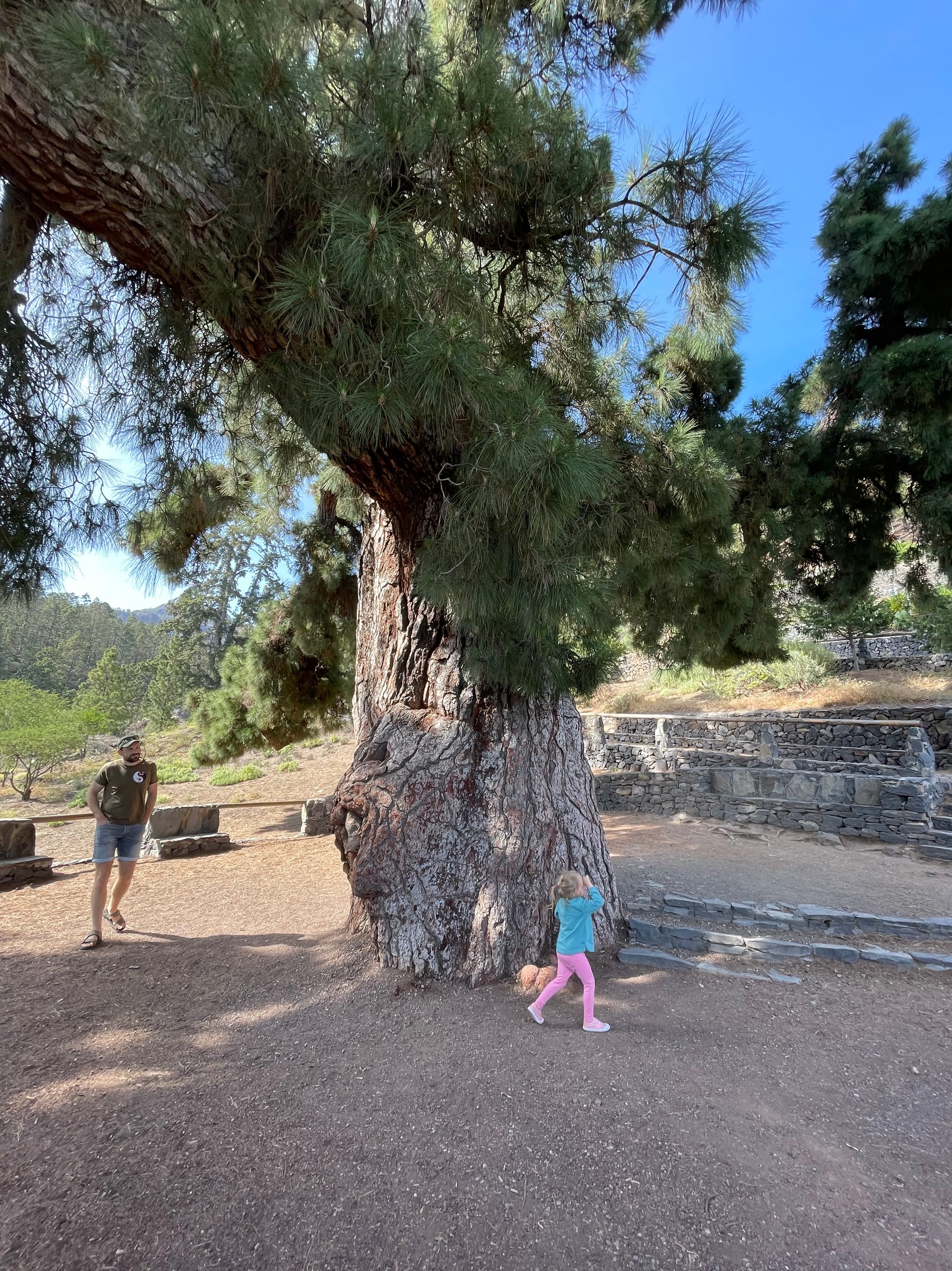 Teidės nacionalinis parkas + La Orotava miestas