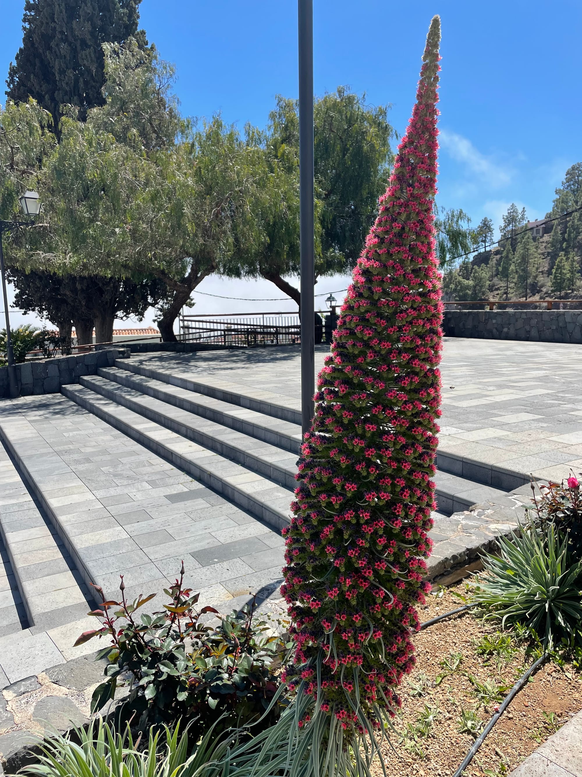 Teidės nacionalinis parkas + La Orotava miestas