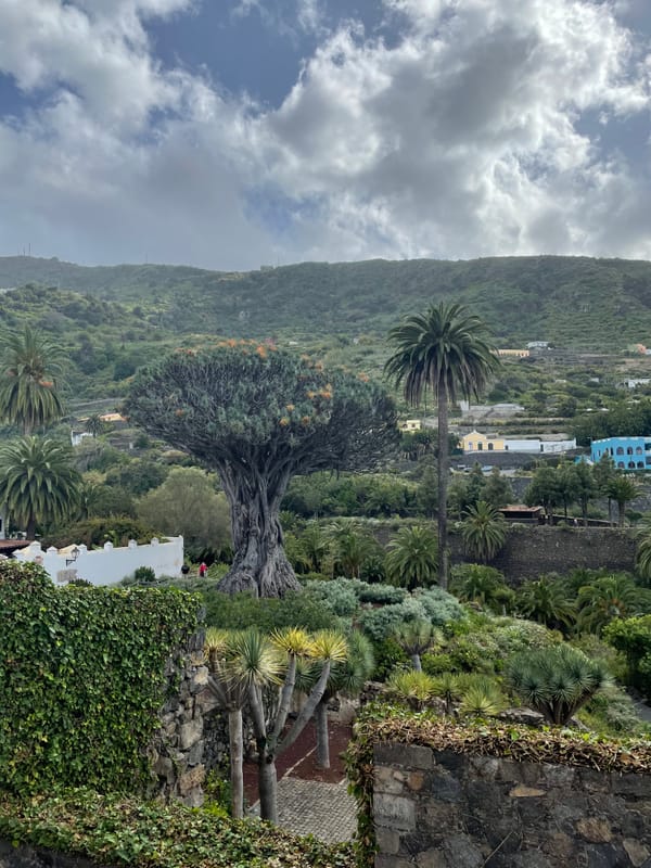 Vakarų Tenerifės perlai: apsižvalgykite per vieną dieną