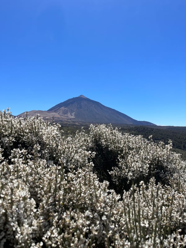 Teidės nacionalinis parkas + La Orotava miestas